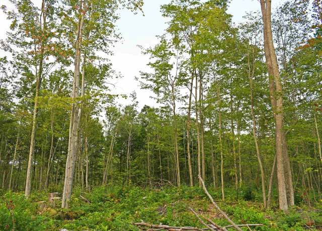 Property at Parcel J Road Tbd, Greenbush, MI 48738