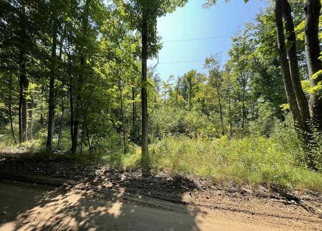 Property at 17+Acres Marsh Rd, Kingsley, MI 49649