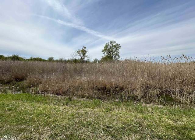 Property at 0 N Channel Dr, Harsens Island, MI 48028