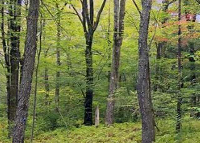 Property at 10.01 N 2 1/2 Rd, Hanover Township, MI 49620
