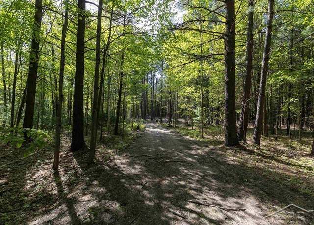 Property at VL N Meridian Rd, Sanford, MI 48657