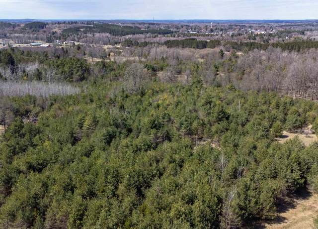 Property at V/L Parcel C E 18 1/2 Rd, Manton, MI 49663