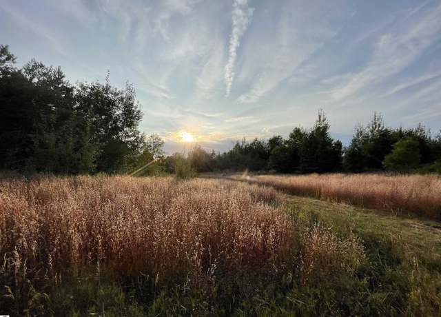 Property at V/L Parcel E E 18 1/2 Rd, Manton, MI 49663
