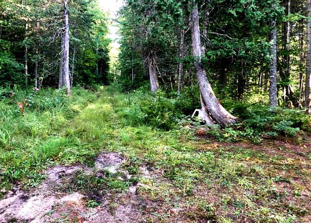 Property at TBD Keweenaw Pass Rd, Lake Linden, MI 49945