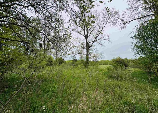 Property at Parcel B3 Bosscher Rd, Manton, MI 49663