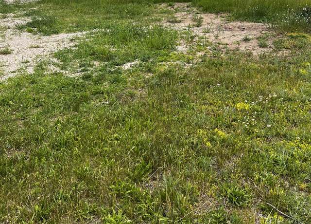 Property at 1302 Walnut St, Cadillac, MI 49601