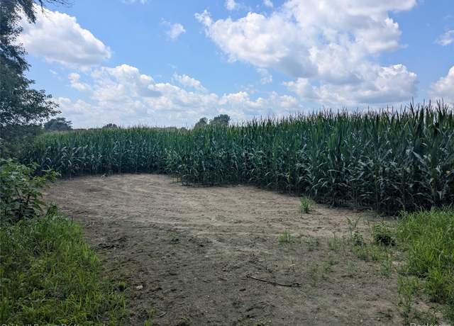 Property at 0000 Peppermill Rd, Attica, MI 48412