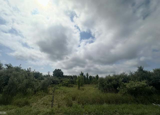 Property at 0 Petz Rd, Capac Village, MI 48014