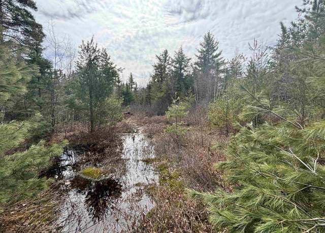 Property at V/L 280A H-40, Rudyard, MI 49780
