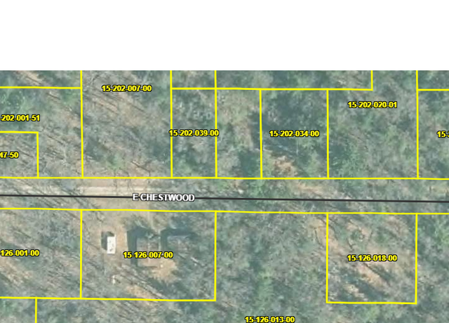 Property at 1512700100 Chestwood Ave, Idlewild, MI 49642