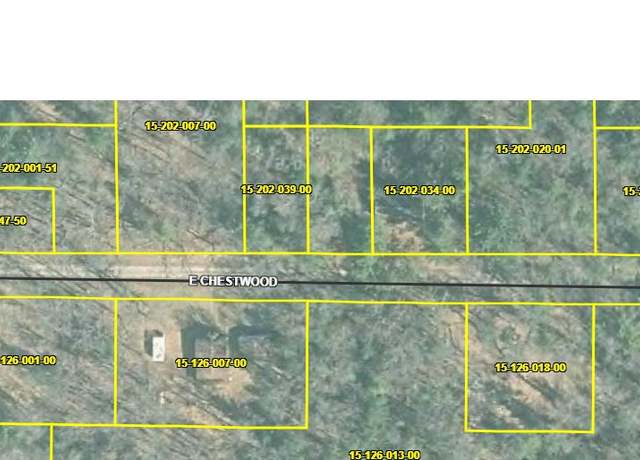 Property at 1512700100 Chestwood Ave, Yates Township, MI 49642