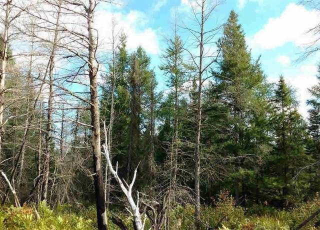 Property at 23305 Duck Lake Trl, Newberry, MI 49868