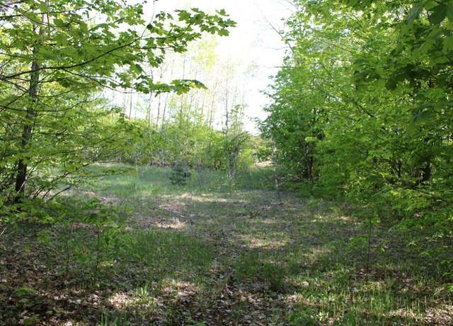 Property at 001 Tope Ct, Mancelona, MI 49659