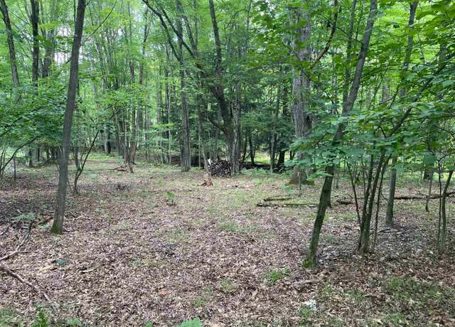 Property at 791 Elkhorn Way, Farwell, MI 48622