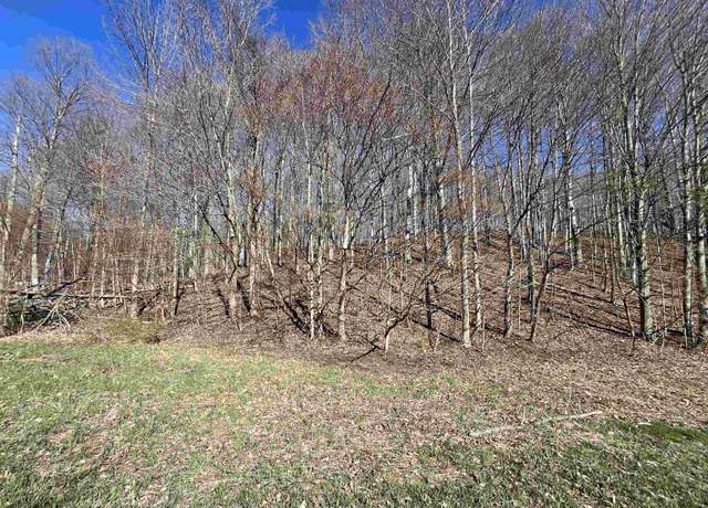 Property at Parcel C Lobb Rd, Frankfort, MI 49635