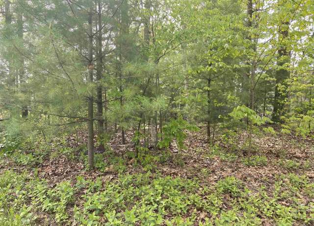 Property at VL Oakridge Dr, Beaverton, MI 48612