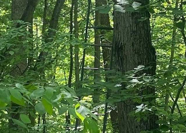 Property at Parcel 8 Deadwood Ln, Brighton, MI 48114