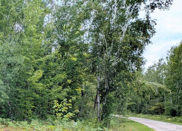 Property at 00 Northridge Dr, Mancelona Township, MI 49730
