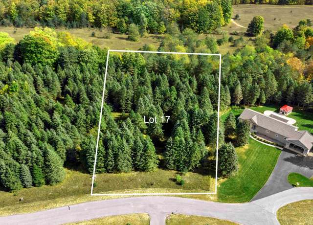 Property at Lot 17 Lipp Farm Rd, Benzonia, MI 49616