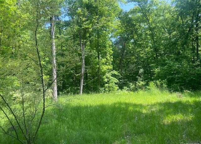 Property at Parcel 2 & 4 Deadwood Ln, Brighton, MI 48114