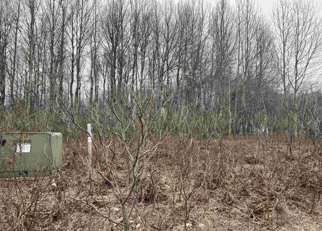 Property at Lot 20 Crestview Dr, Cadillac, MI 49601