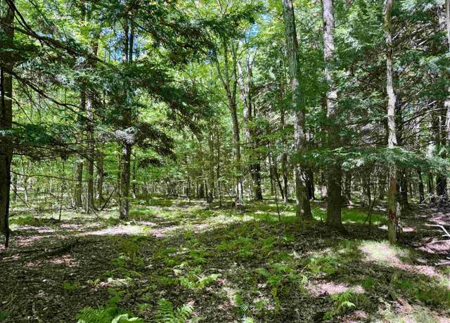 Property at V/L 180th Ave, Mecosta Township, MI 49346