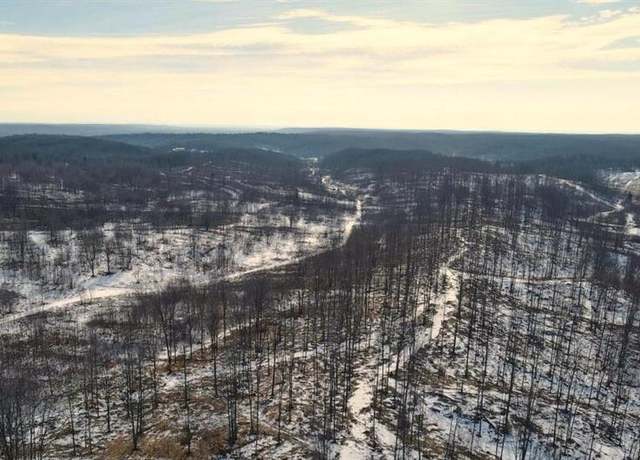 Property at 00 Mount Frederic Rd, Frederic, MI 49733