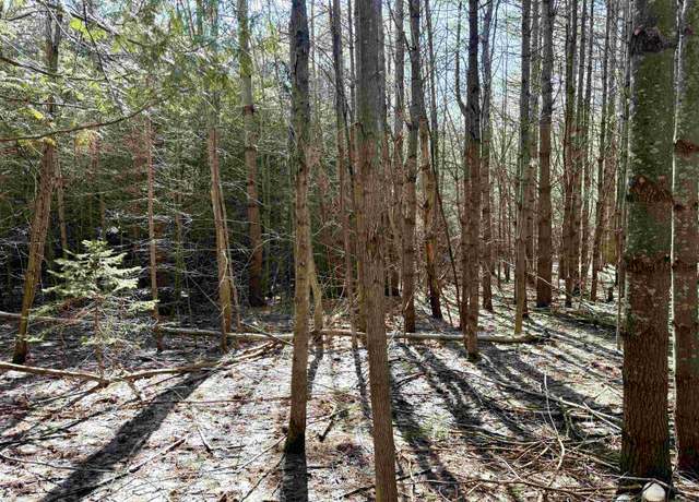 Property at 161 W Nachazel Rd, Maple City, MI 49664