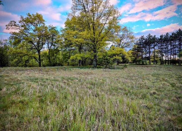 Property at Cedar and 12th St, Evart, MI 49631