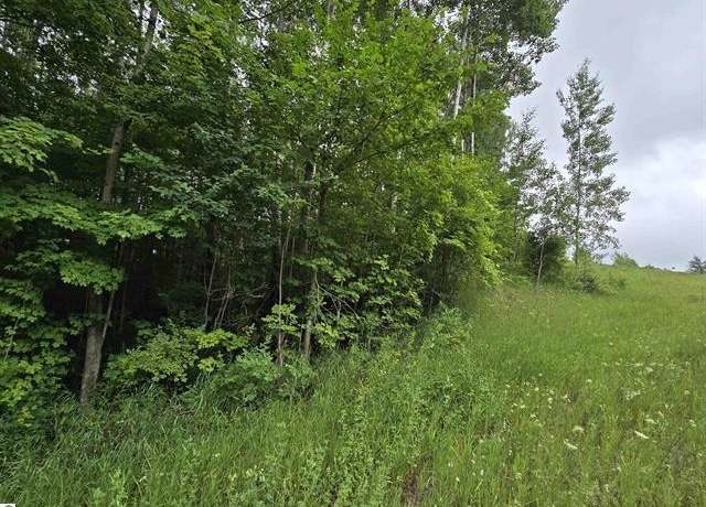 Property at 00 N 9 Rd, Mesick, MI 49668