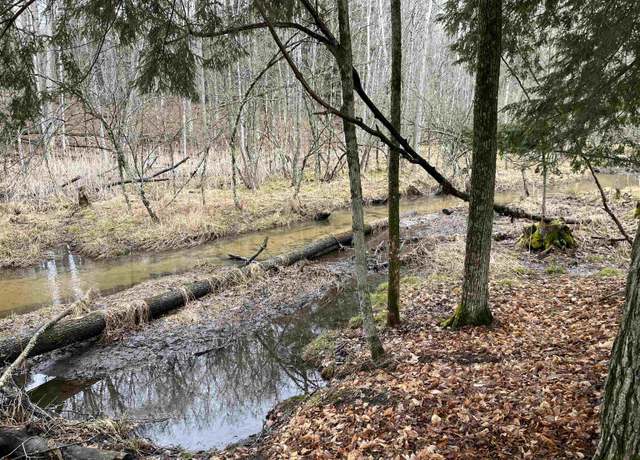Property at M-55, Wellston, MI 49689