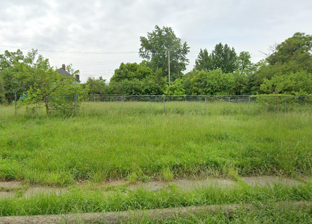 Property at 2955 Blaine St, Detroit, MI 48206