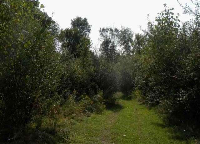 Property at VL Genesee Road Parcel A, Elba, MI 48446