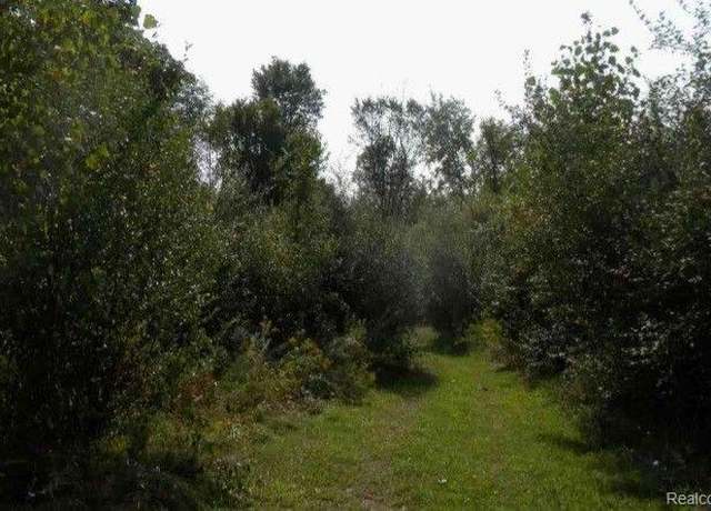 Property at VL Genesee Road Parcel A, Elba Township, MI 48446
