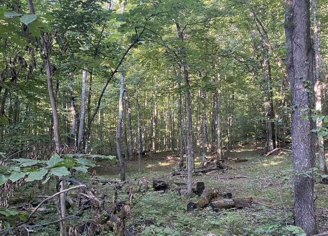 Property at 000 Dundas Rd, Rapid City, MI 49676