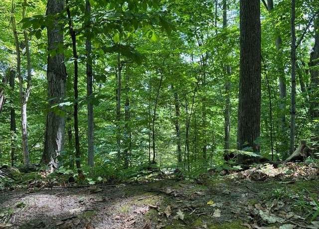 Property at 716 NW Torch Lake Dr, Kewadin, MI 49648
