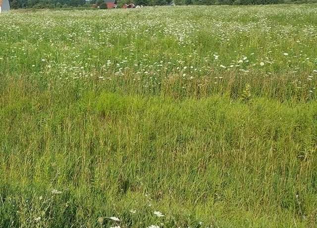 Property at 0 Capac Rd, Capac, MI 48014