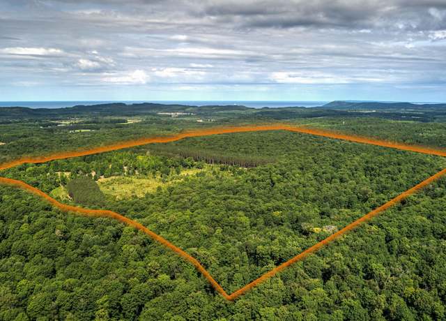 Property at Esch Rd, Platte Township, MI 49650