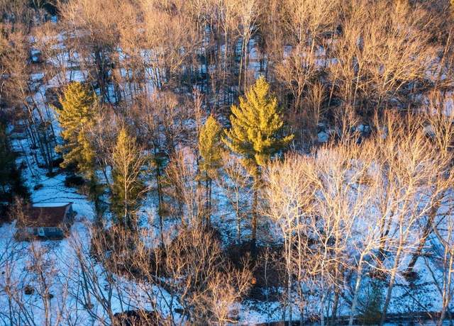 Property at ML-AS 98 Larry Dr, Prescott, MI 48756