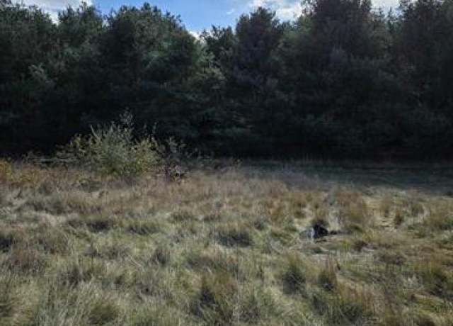 Property at VL Washington Rd, Carsonville, MI 48419
