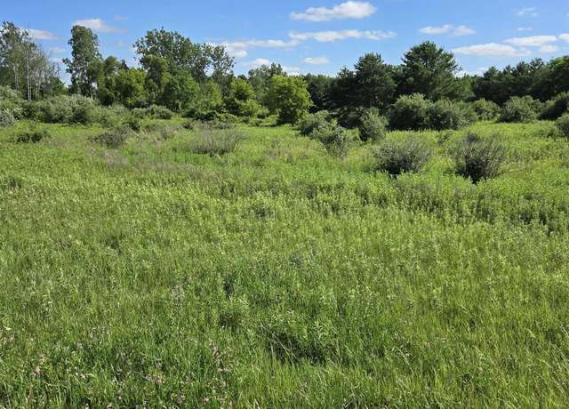 Property at VL Washington Rd, Carsonville, MI 48419