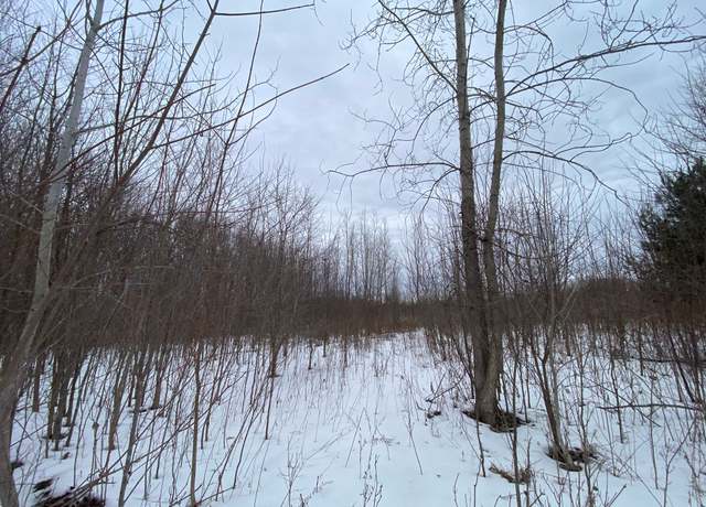 Property at 2.45 Acres Faulkner Rd Faulkner Dr, Davison Twp, MI 48439