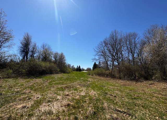 Property at 4115 Carriage Hill Dr, Metamora, MI 48455