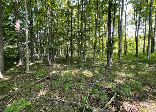 Property at 17+/-ACRES Marsh Rd, Paradise Township, MI 49649