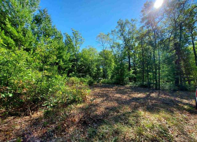 Property at 00 Beroun Ave, Interlochen, MI 49643