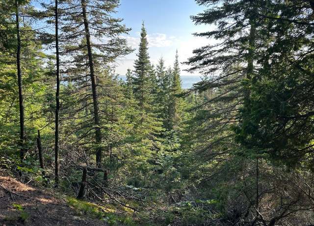 Property at TBD Mrs Reddings Trl, Peaine Township, MI 49782