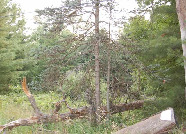 Property at LOT 9 Dorothy Dr, Mills Township, MI 48756