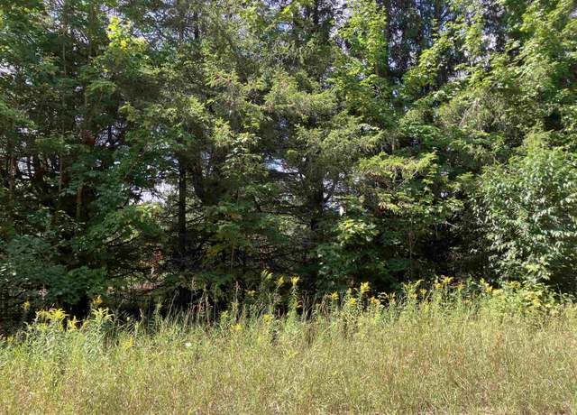 Property at 180 Flowing Well Rd, Excelsior Township, MI 49646