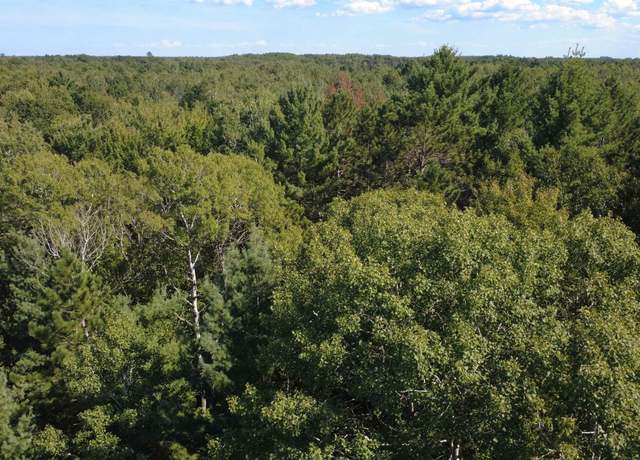 Property at x Franklin Rd, Bourret Township, MI 48610