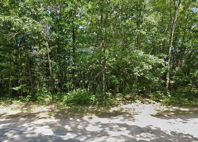 Property at 8656 N Blair Dr, Bitely, MI 49309